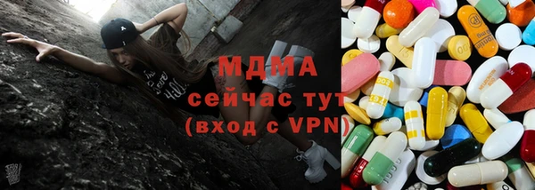 гидра Корсаков