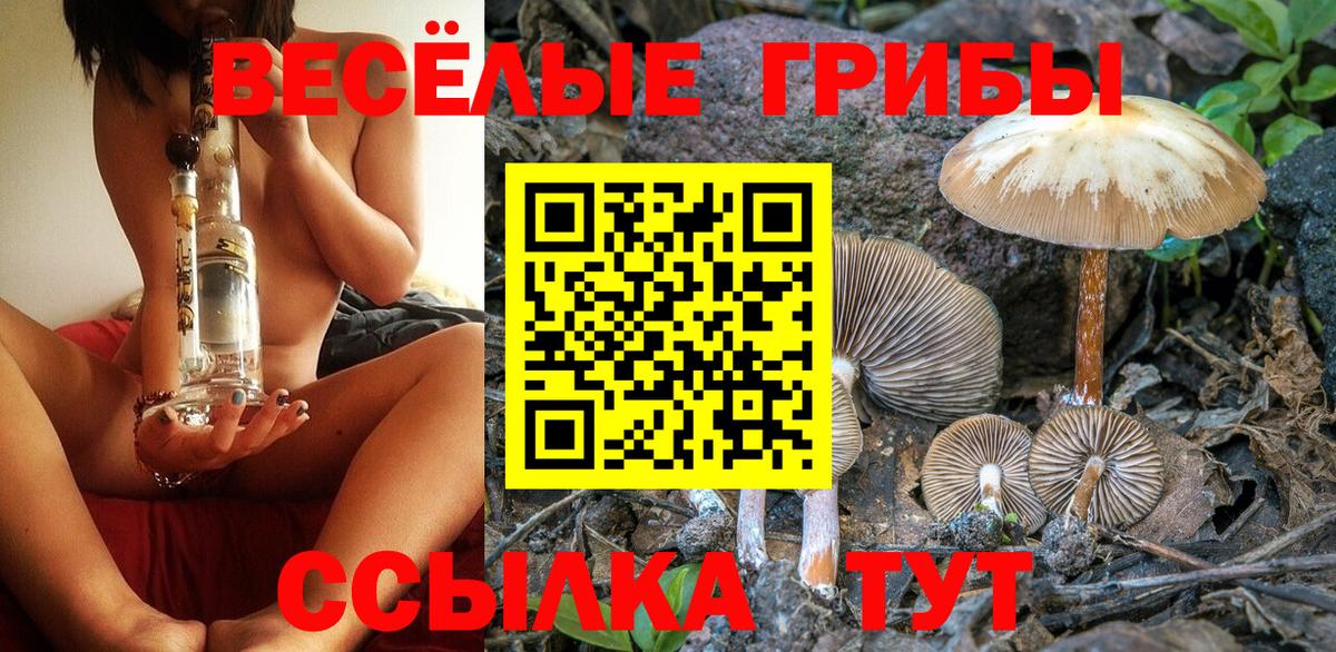 Киреевск  Галлюциногенные грибы MAGIC MUSHROOMS  Вход с VPN 