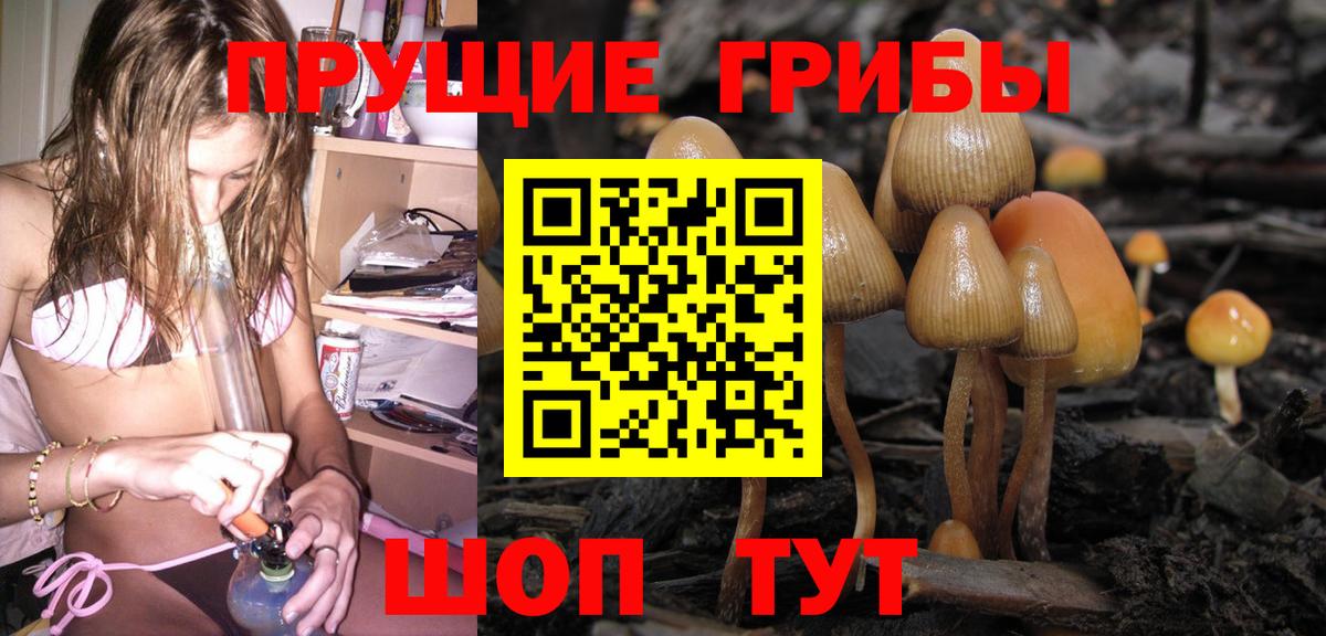 Псилоцибиновые грибы мицелий Киреевск